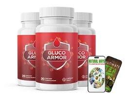 3 Bottles Gluco Armor